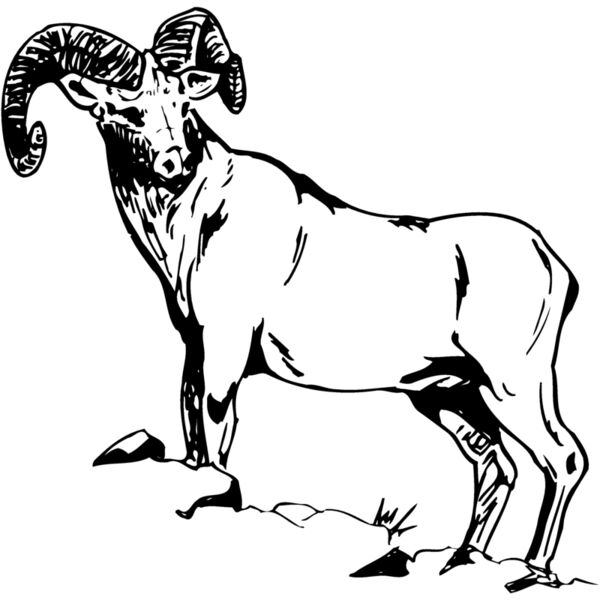 RAM013 Miniaturansicht