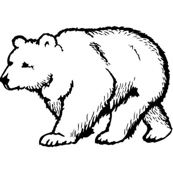 BEAR017 Miniaturansicht