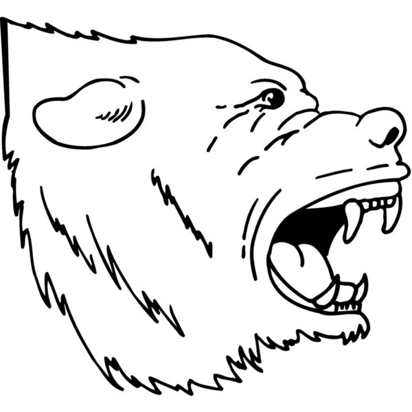 BEAR022 Miniaturansicht