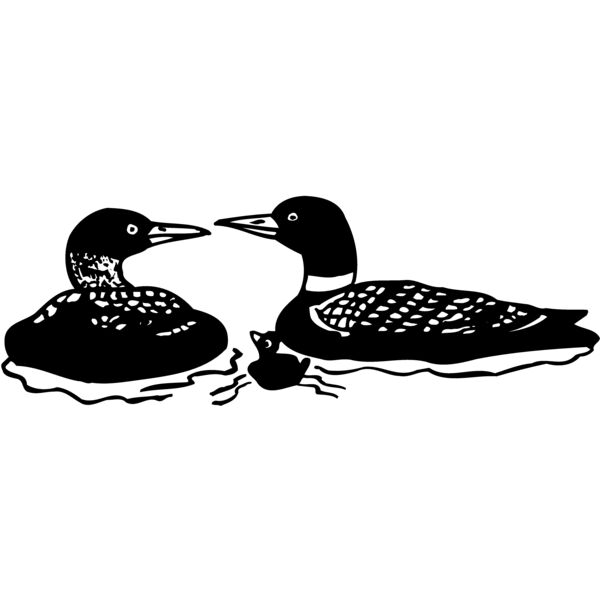 BIRD085 Miniaturansicht