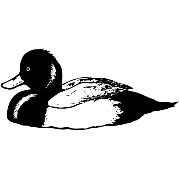 BIRD103 Miniaturansicht