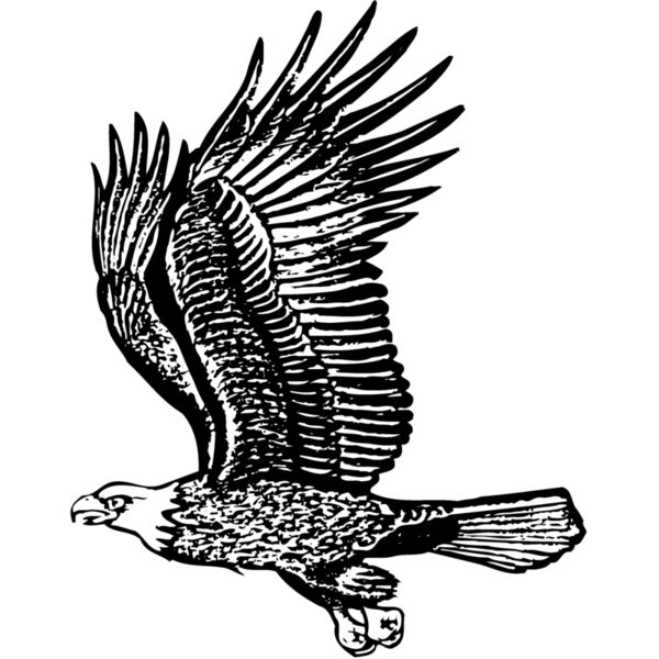 EAGLE012 Miniaturansicht