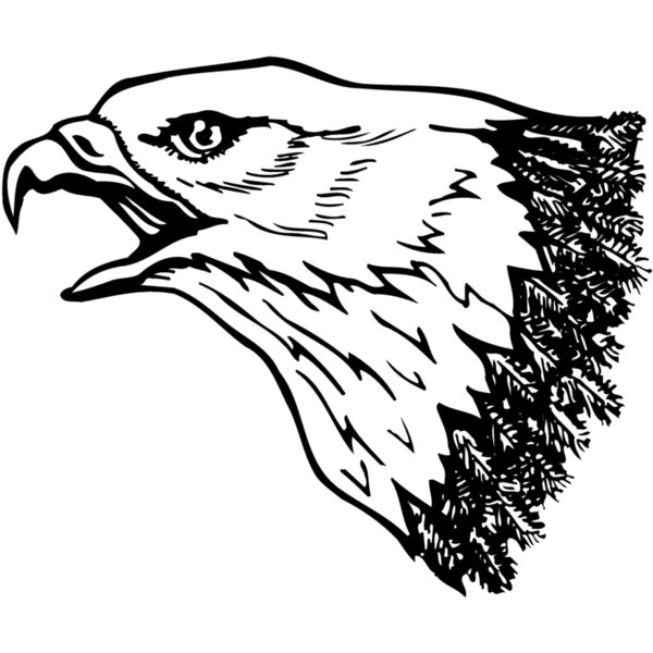 EAGLE013 Miniaturansicht