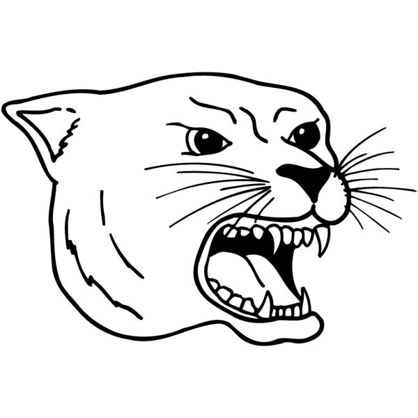 CAT17 Miniaturansicht