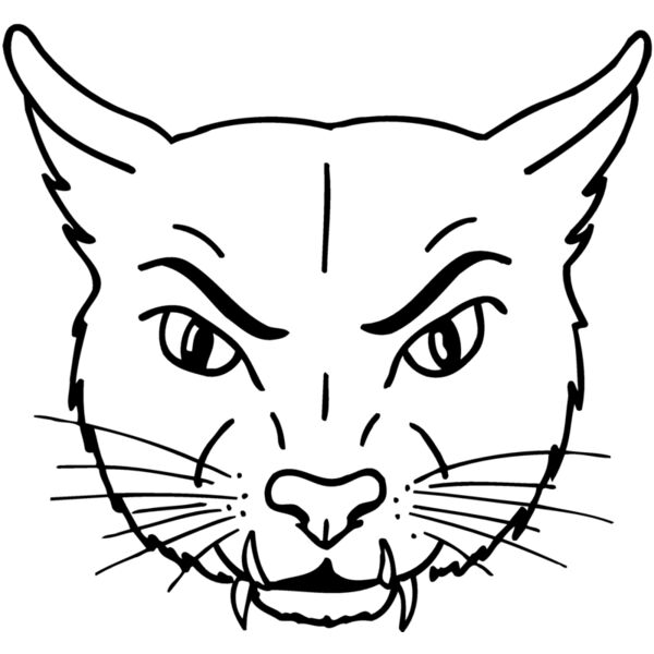 CAT19 Miniaturansicht