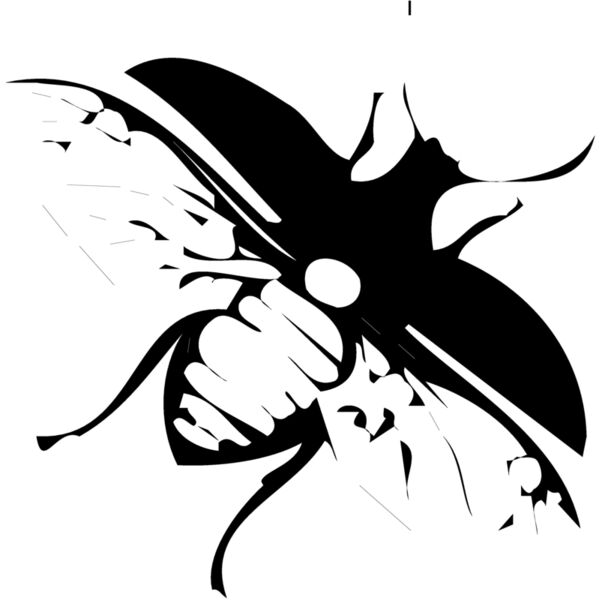 FLY03 Miniaturansicht