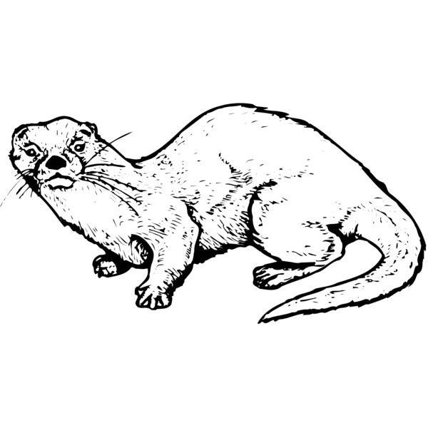 OTTER002 Miniaturansicht