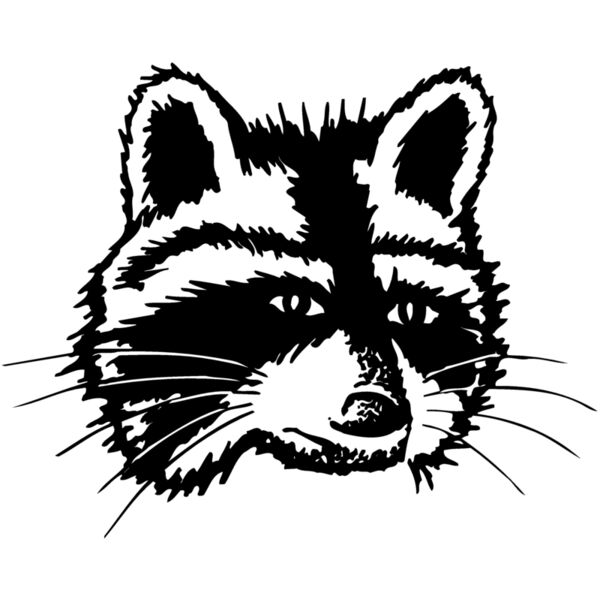 COON005 Miniaturansicht