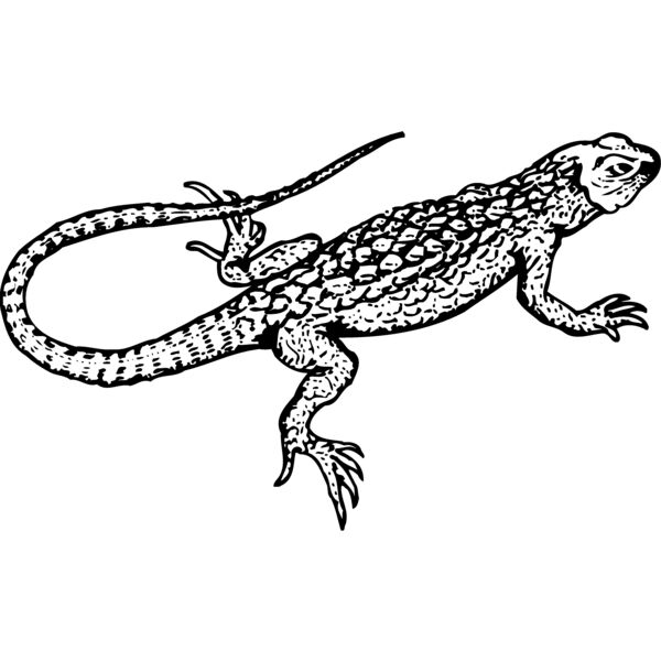 LIZARD01 Miniaturansicht