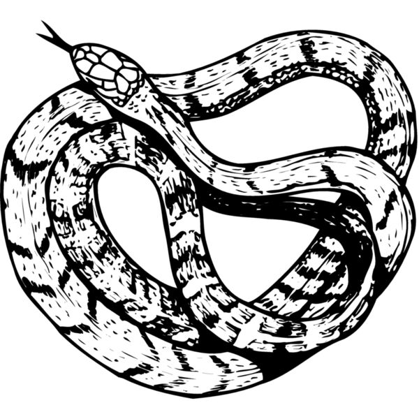 SNAKE003 Miniaturansicht