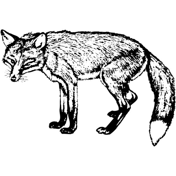 F_W013 Miniaturansicht