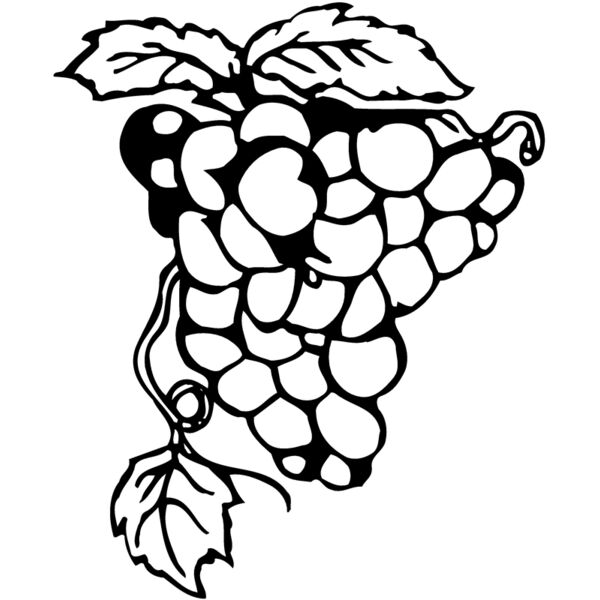 FRUIT017 Miniaturansicht