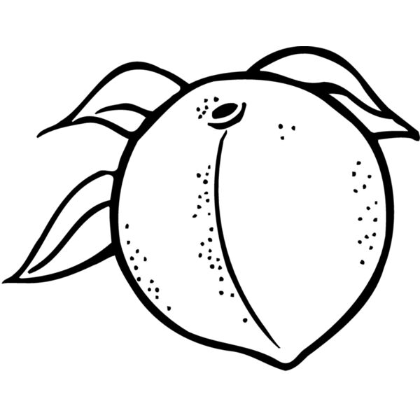 FRUIT023 Miniaturansicht