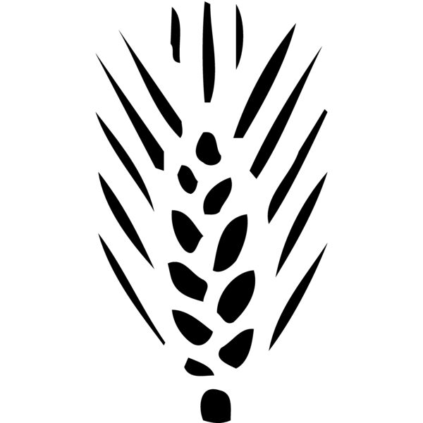 FRUIT057 Miniaturansicht