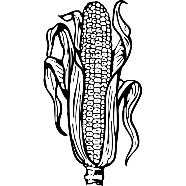 GRAIN001 Miniaturansicht