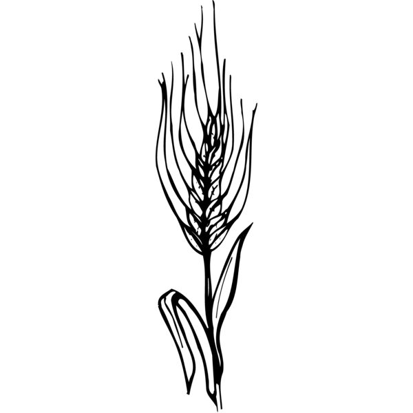 GRAIN009 Miniaturansicht