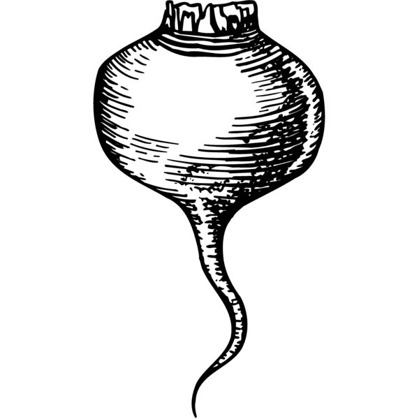 VEG002 Miniaturansicht