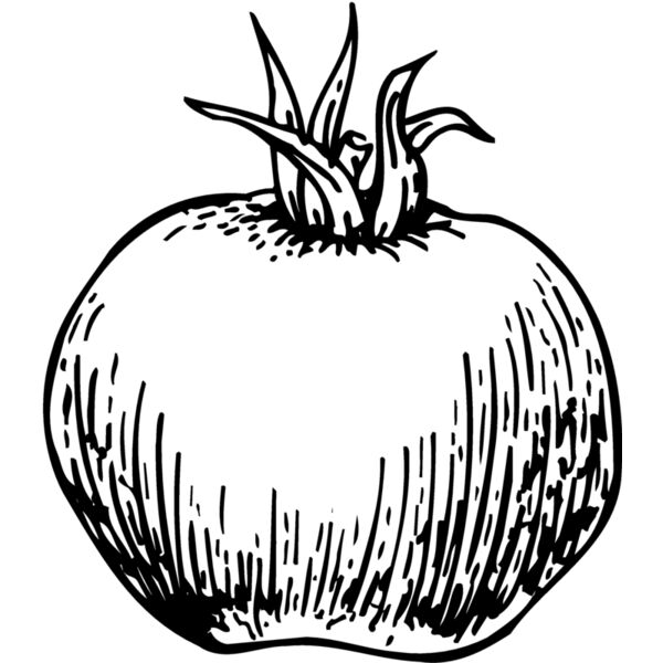 VEG014 Miniaturansicht