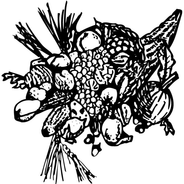 VEG020 Miniaturansicht