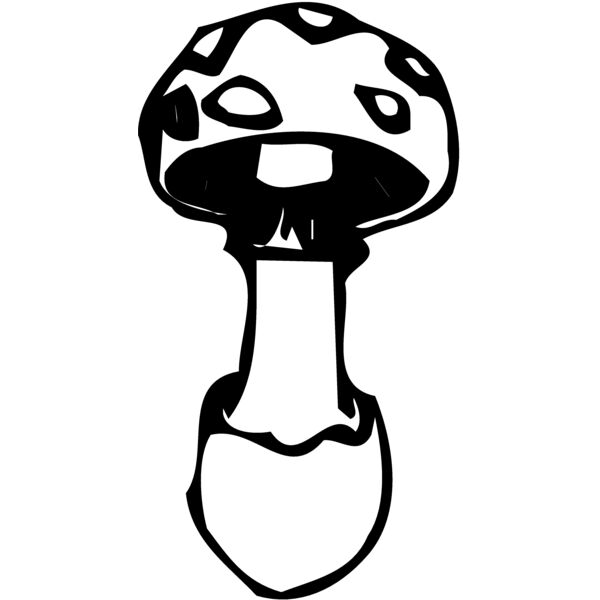 VEG027 Miniaturansicht