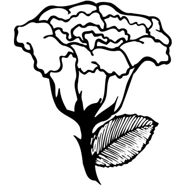 FLOWER10 Miniaturansicht