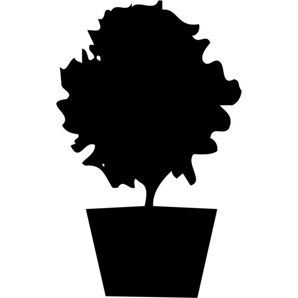 PLANT06 Miniaturansicht