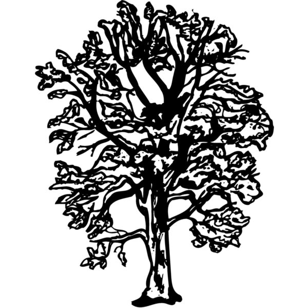 TREE0018 Miniaturansicht