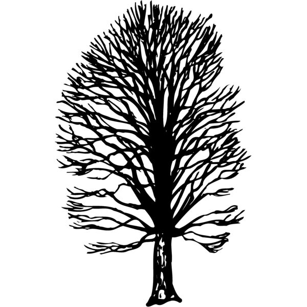 TREE0019 Miniaturansicht