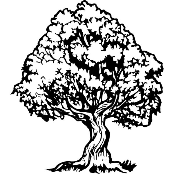 TREE0026 Miniaturansicht