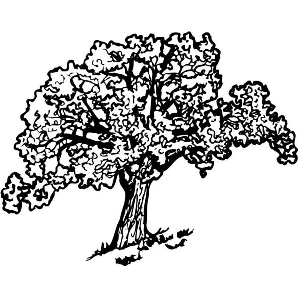 TREE0027 Miniaturansicht