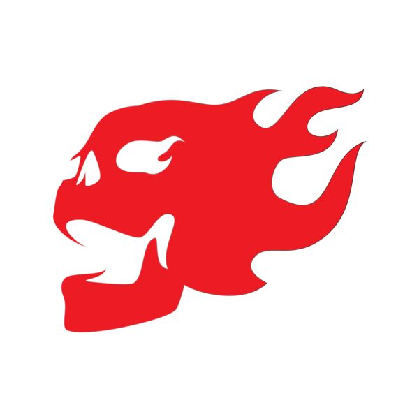 Elements Skulls logo template 25 Miniaturansicht