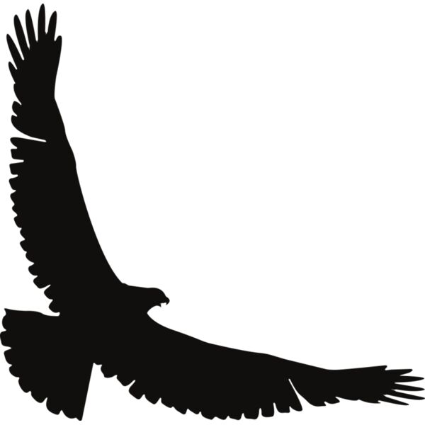 Eagle   Clipart 2 Miniaturansicht