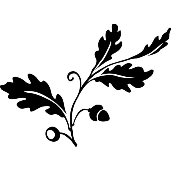 Eiche Laub Blatt Miniaturansicht