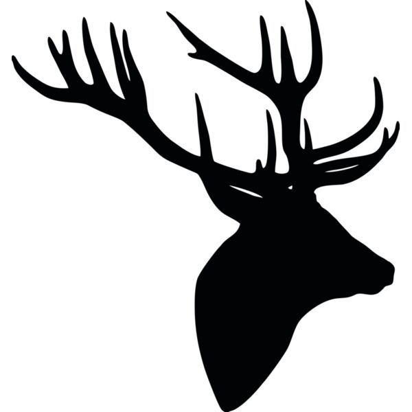 Hirsch Geweih Miniaturansicht