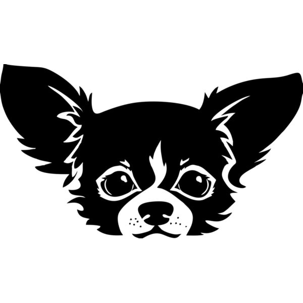 Hund chihuahua Thumbnail