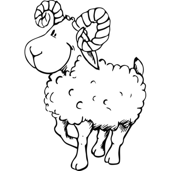 Widder Miniaturansicht